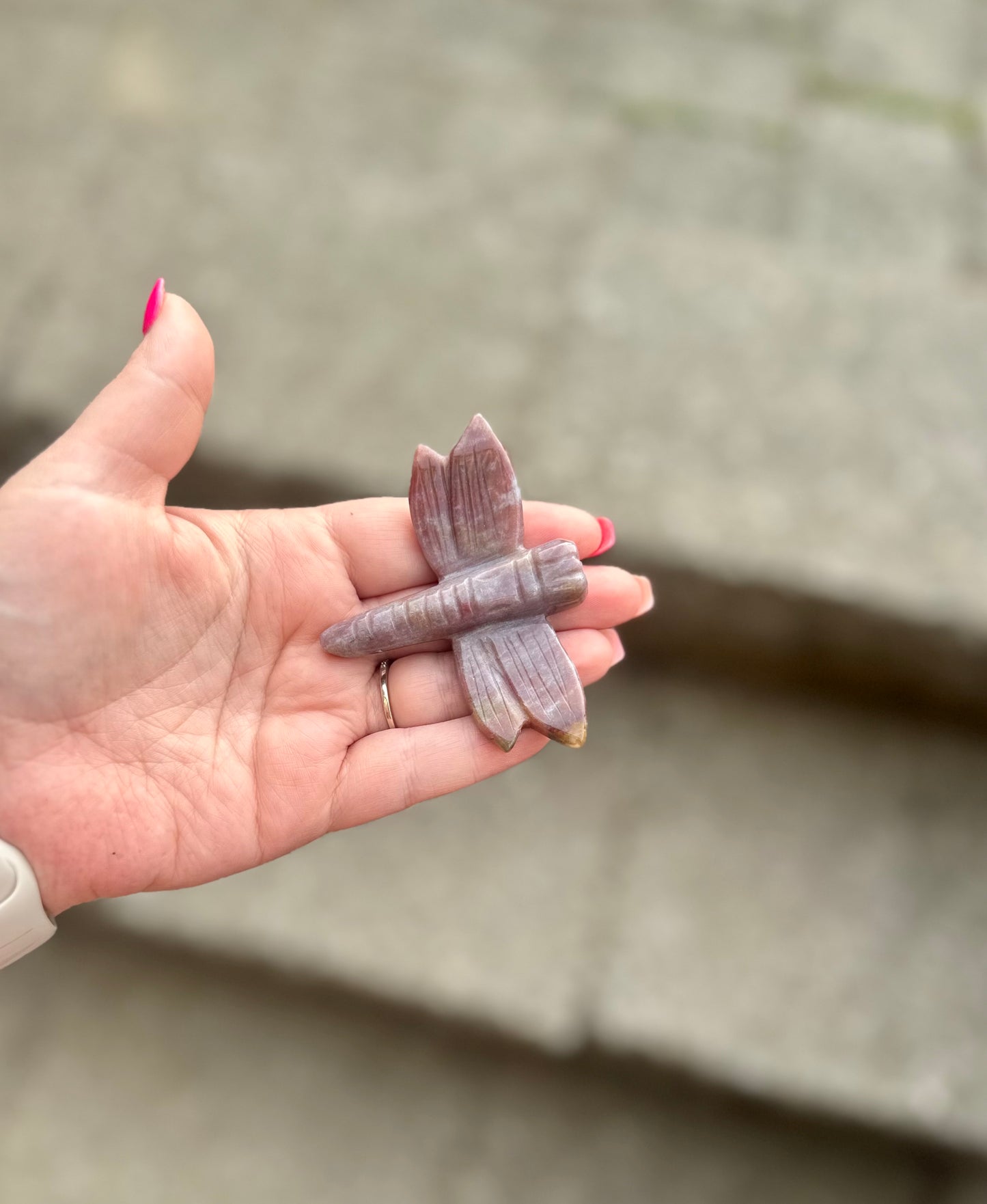 Ocean Jasper Dragonfly