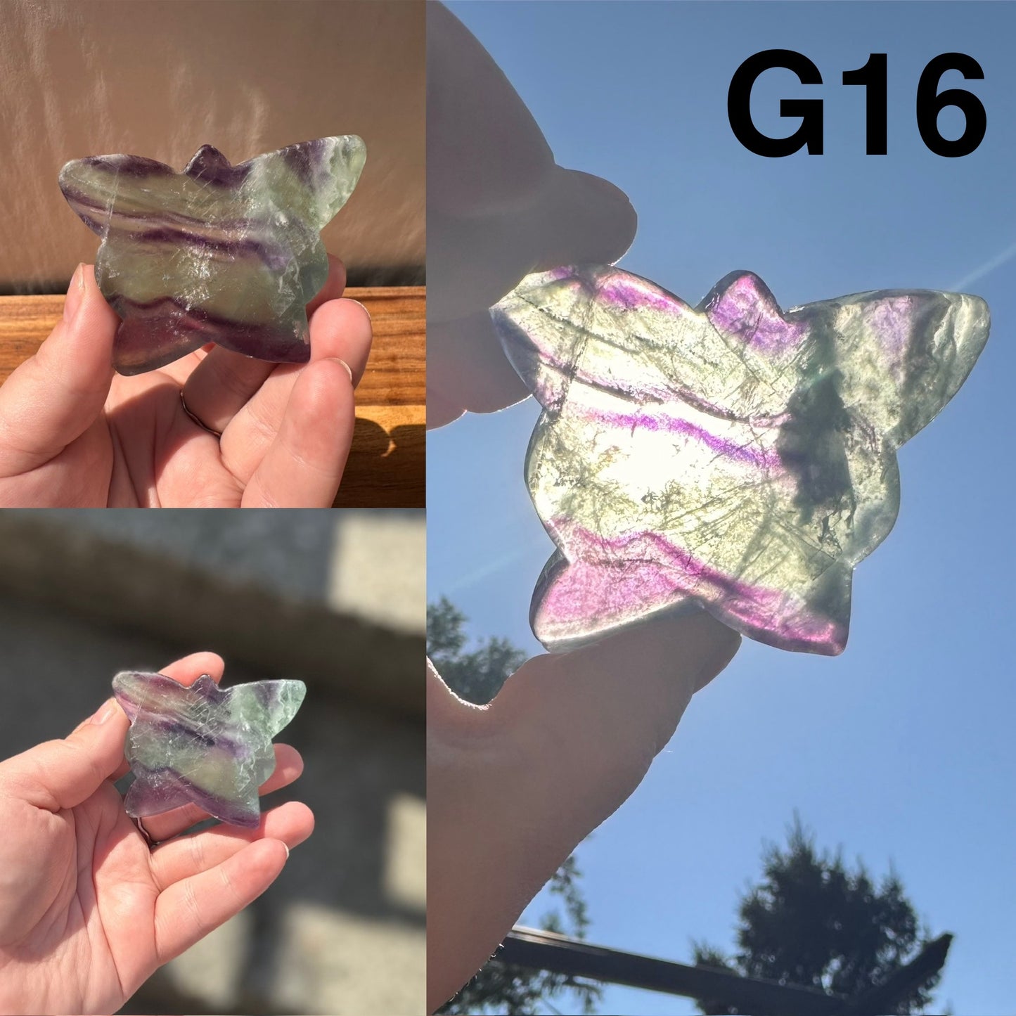 Fluorite Butterfly | Imperfect