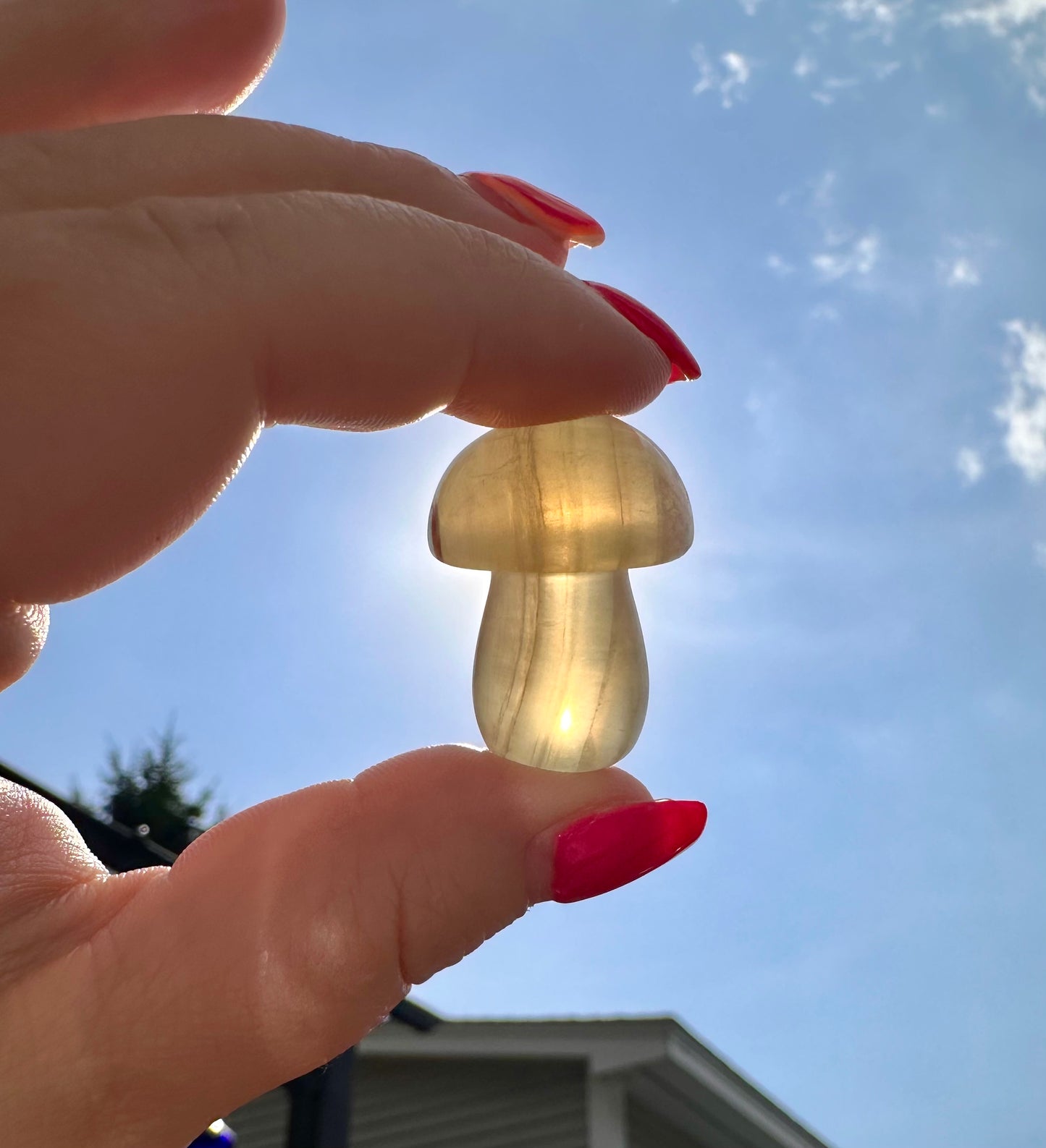 Fluorite Mushroom