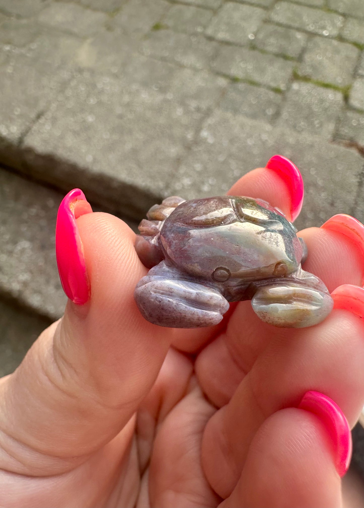 Ocean Jasper Crab