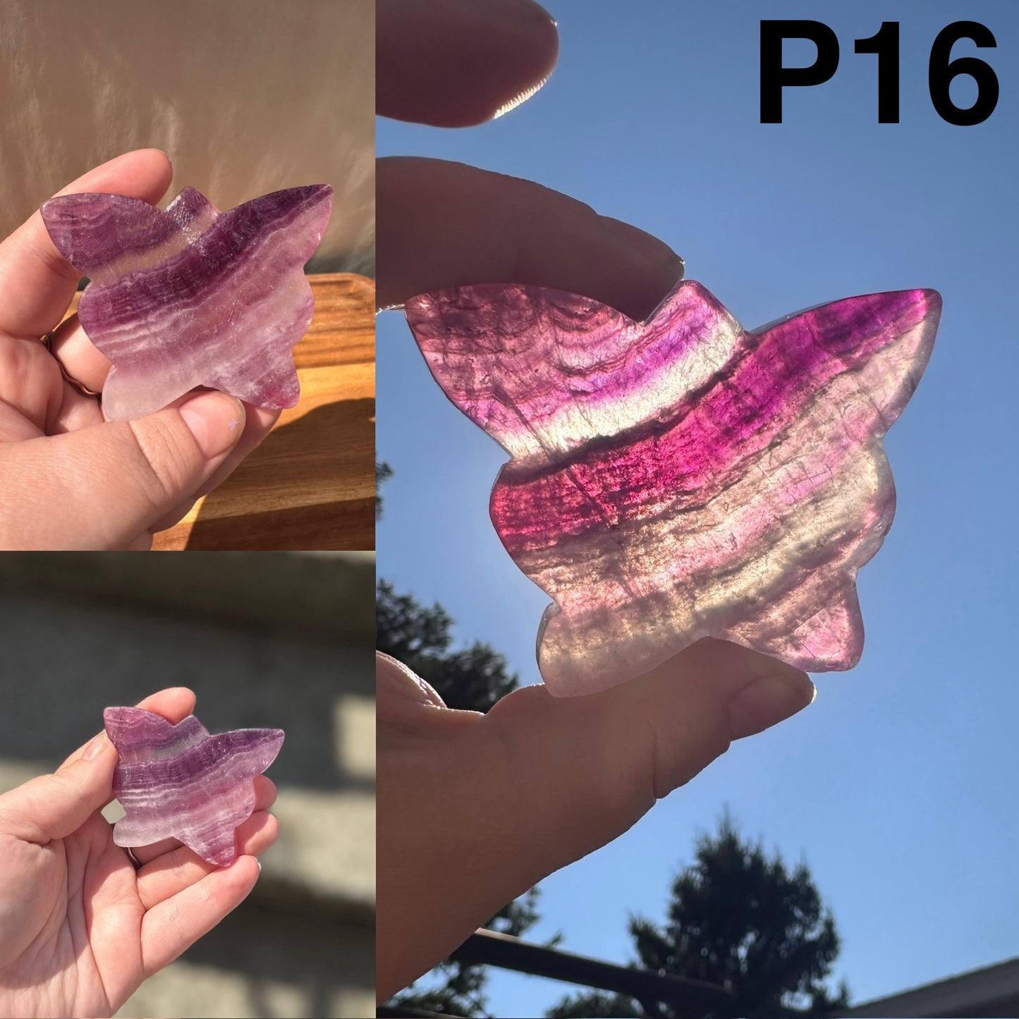 Fluorite Butterfly | Imperfect