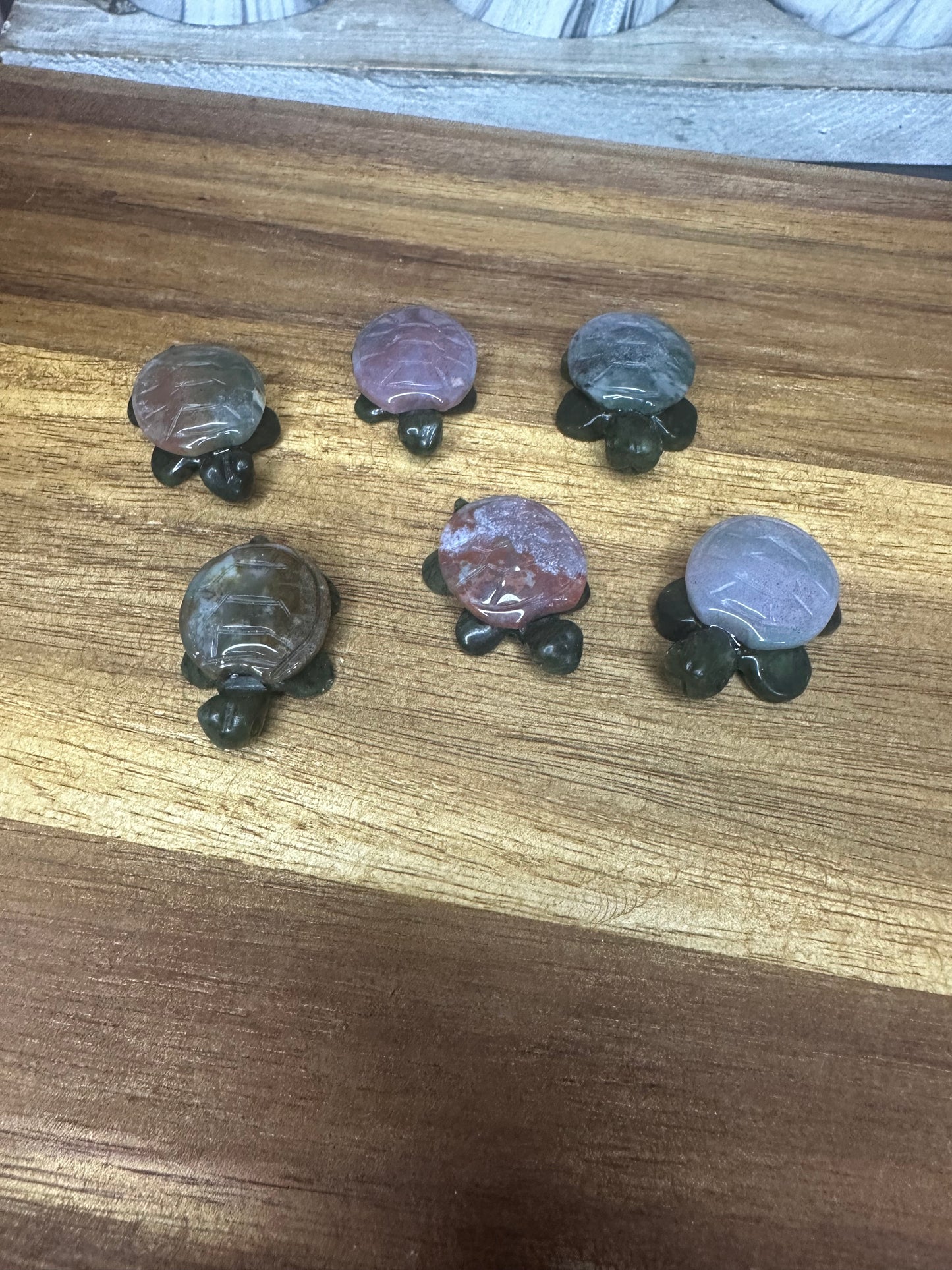Ocean Jasper Turtle