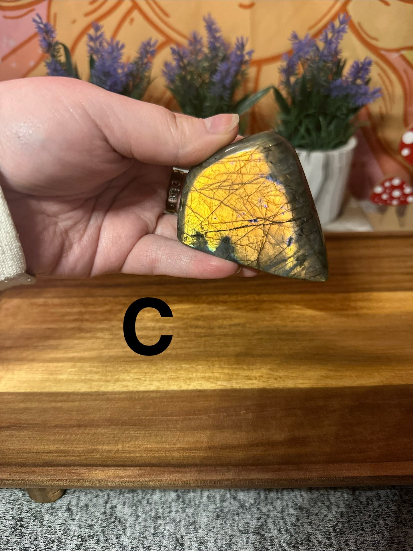 Labradorite Freeform- You Choose