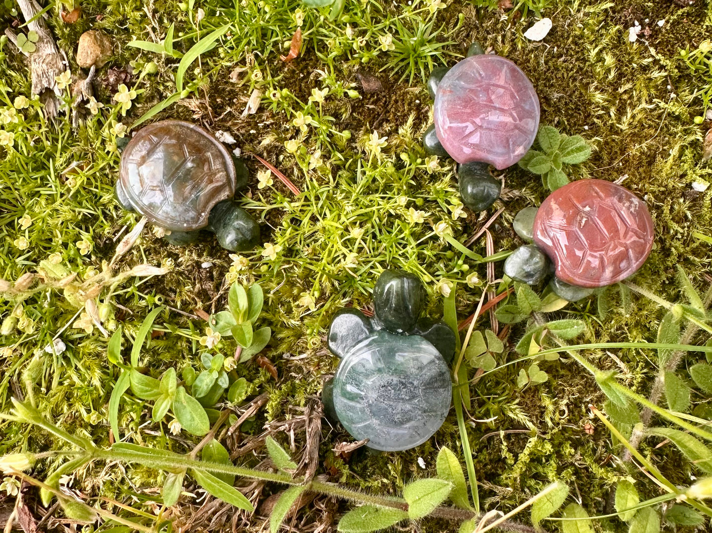 Ocean Jasper Turtle