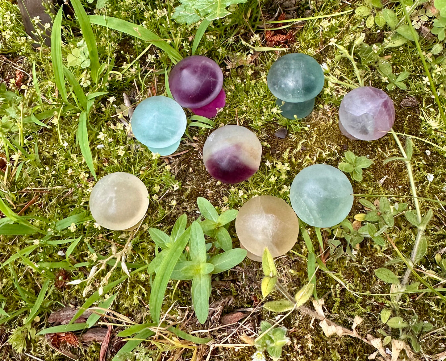 Fluorite Mushroom