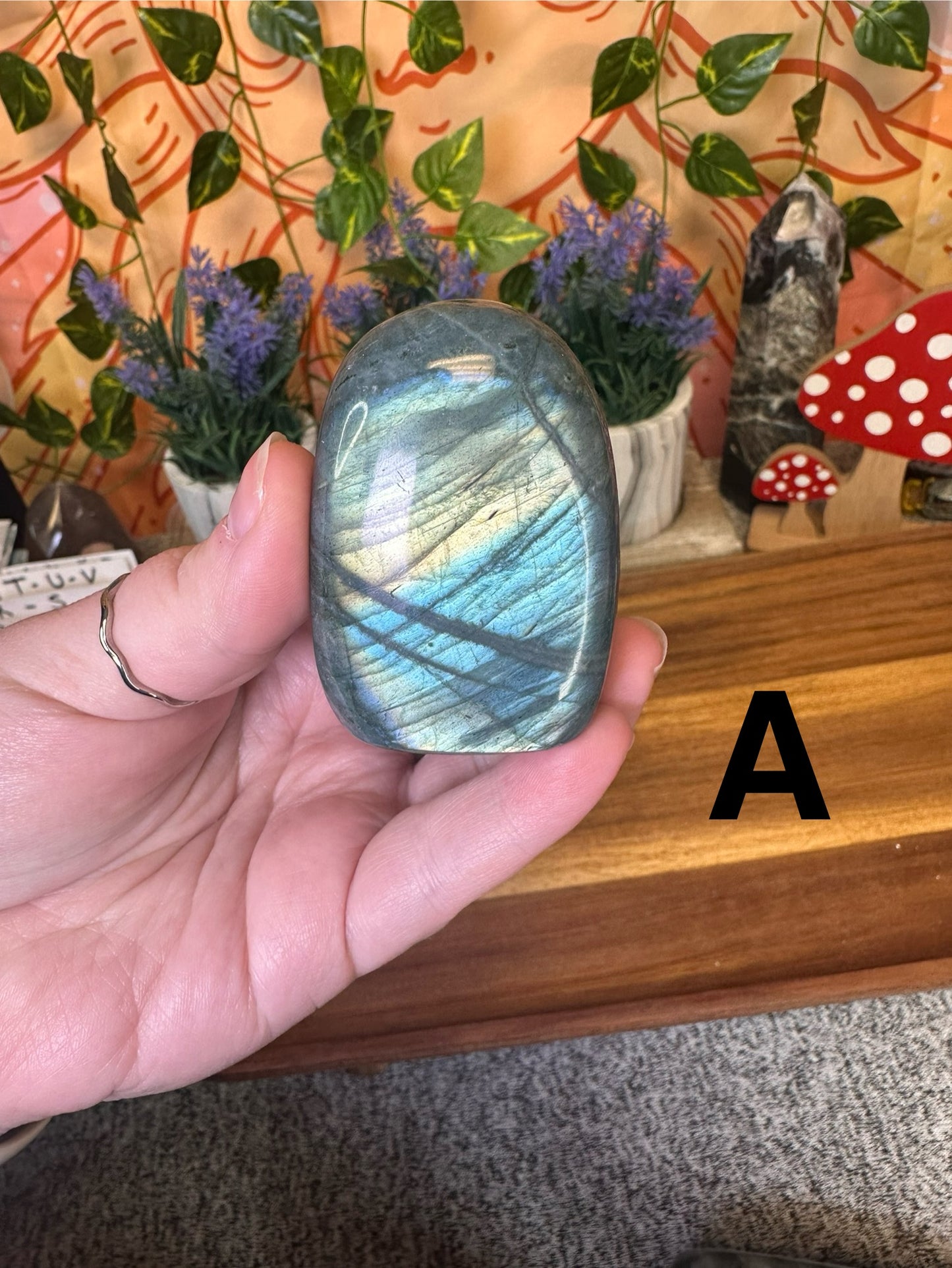 Labradorite Freeform- You Choose