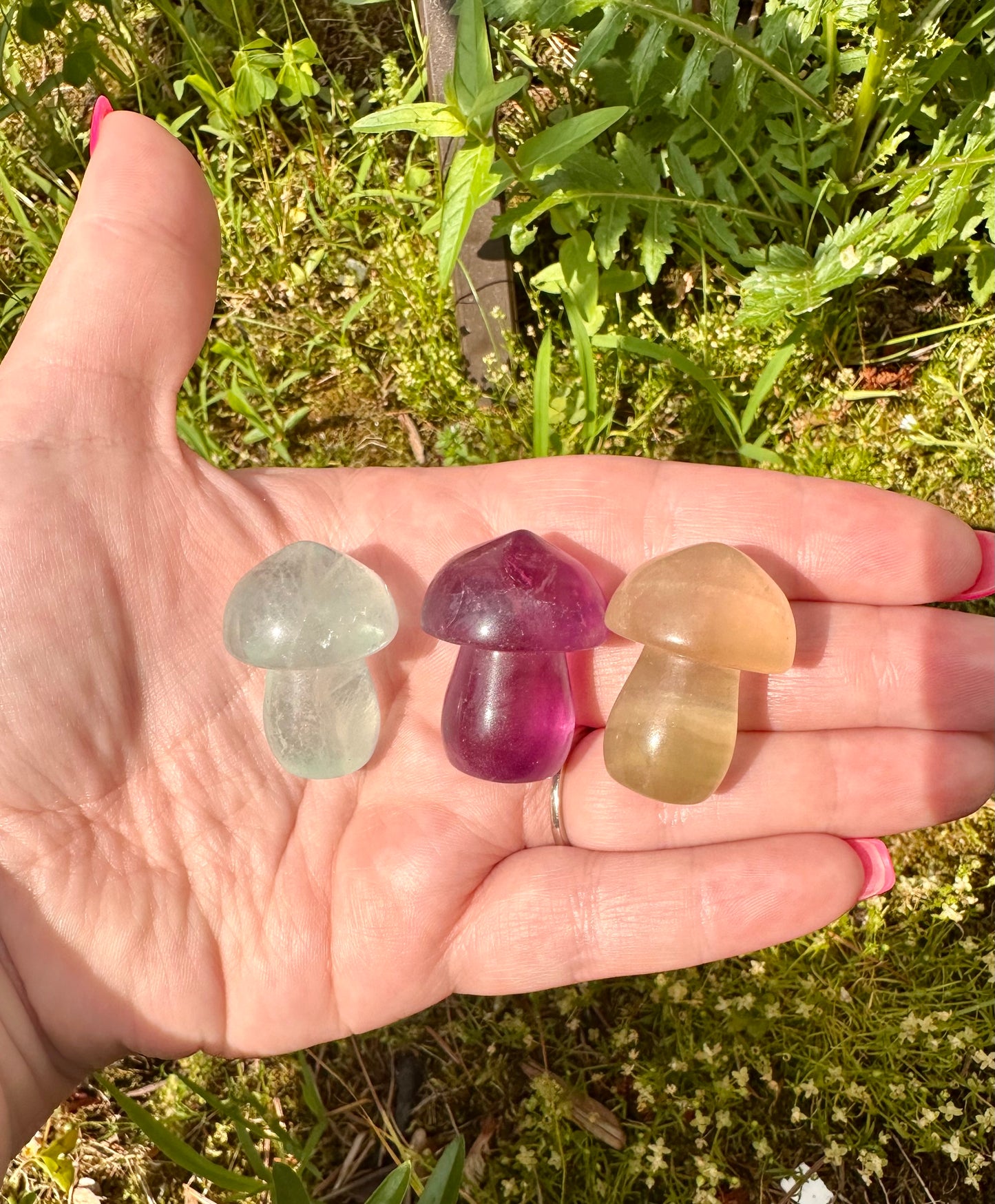 Fluorite Mushroom