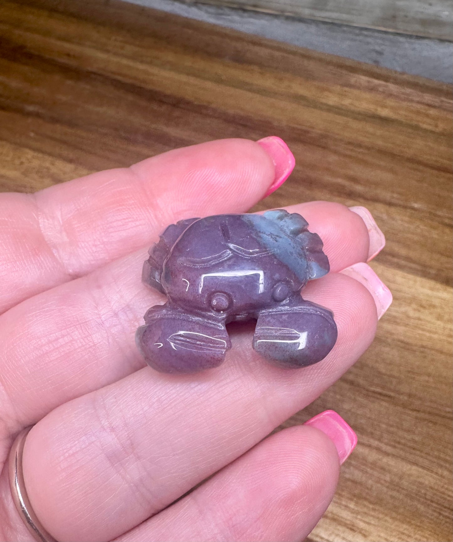 Ocean Jasper Crab