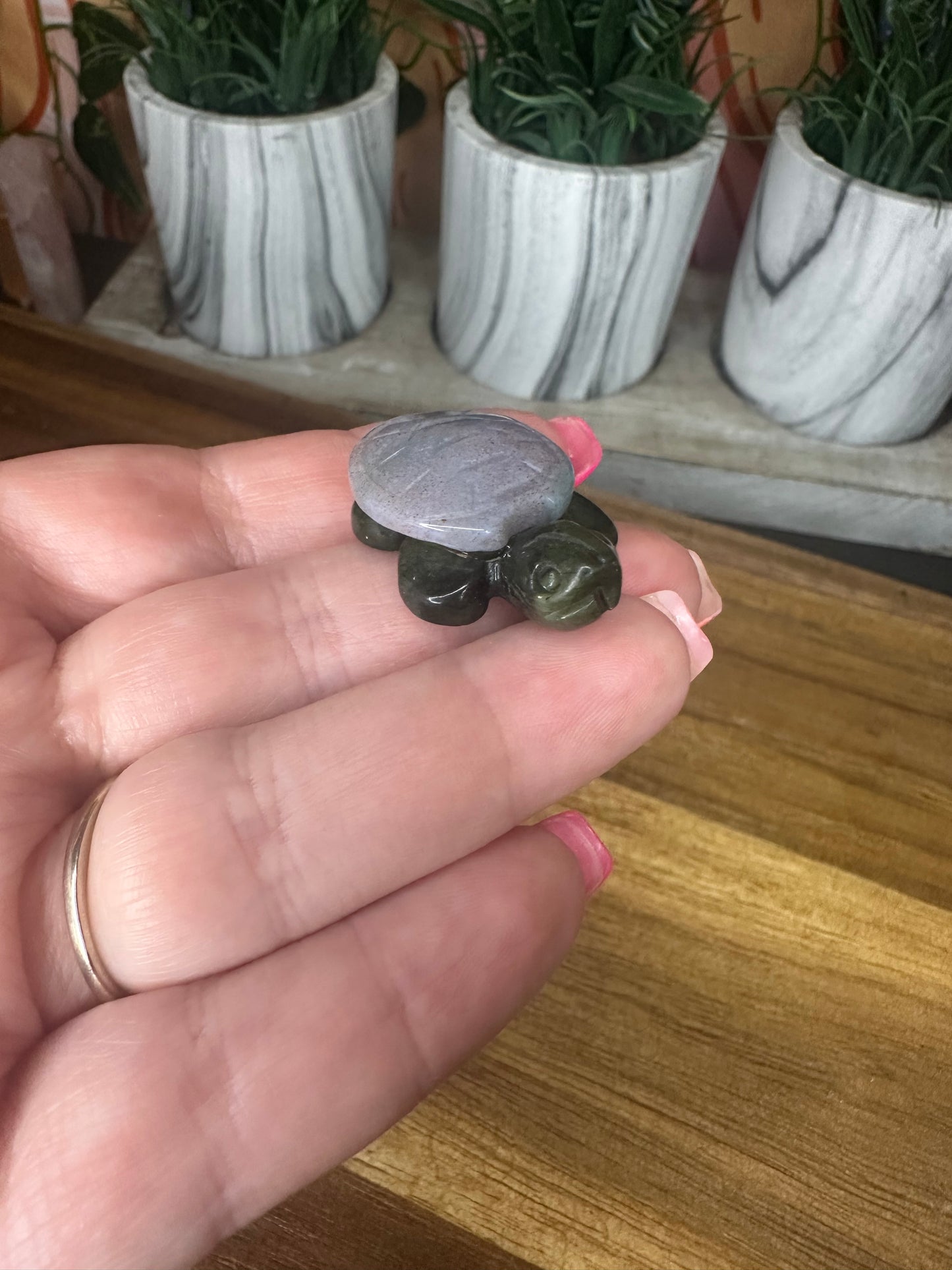 Ocean Jasper Turtle