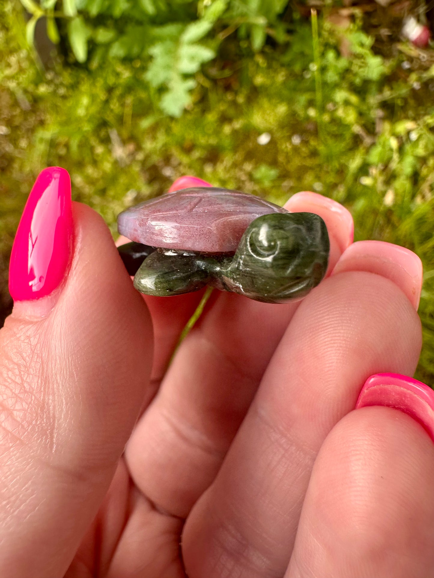 Ocean Jasper Turtle