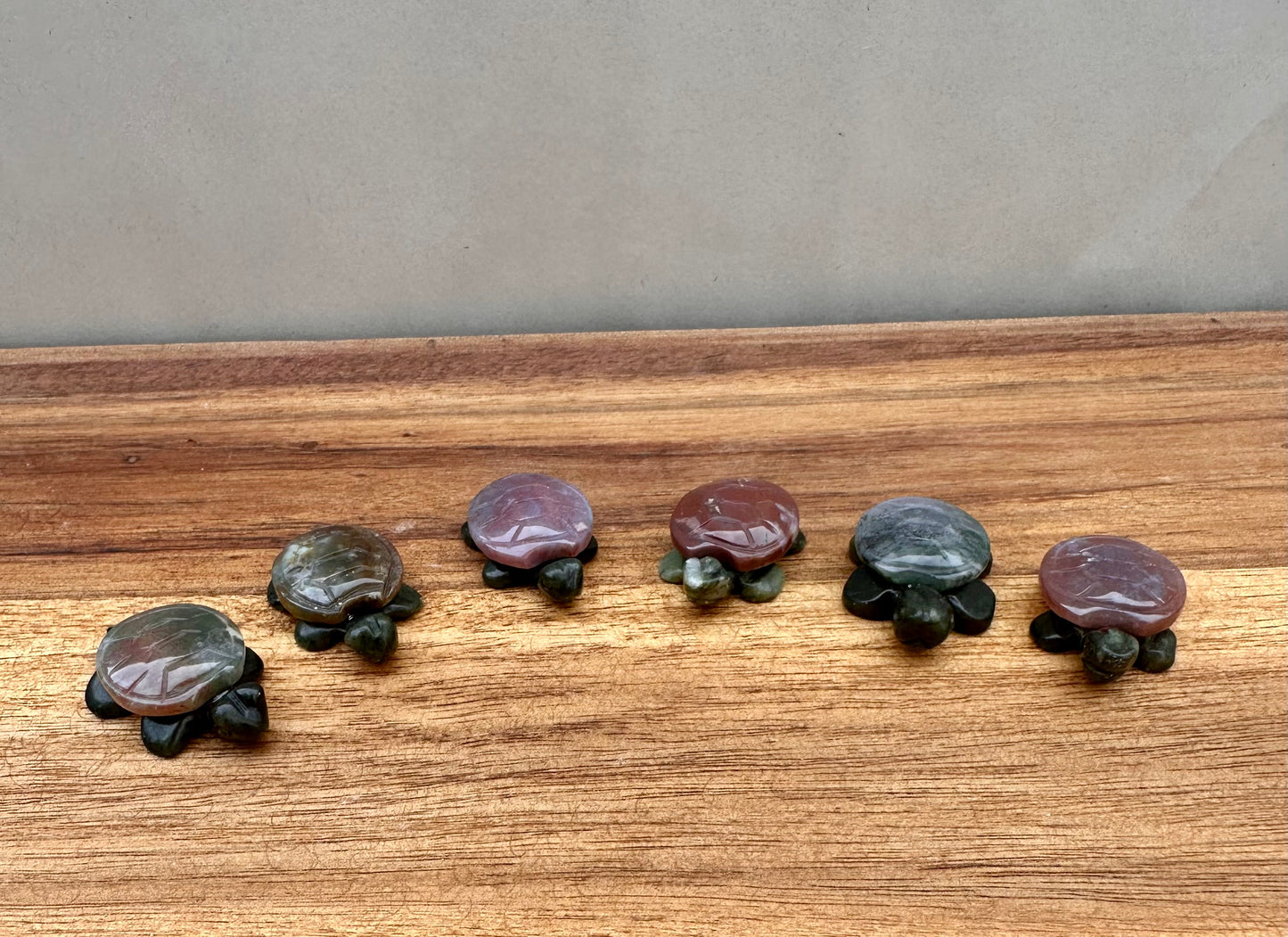 Ocean Jasper Turtle