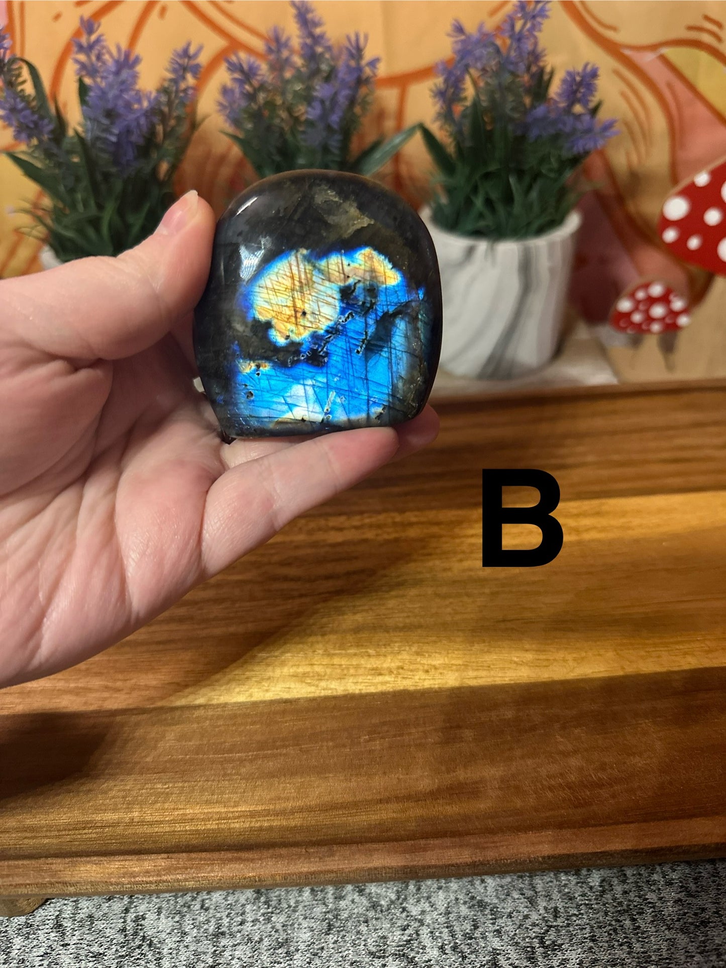 Labradorite Freeform- You Choose