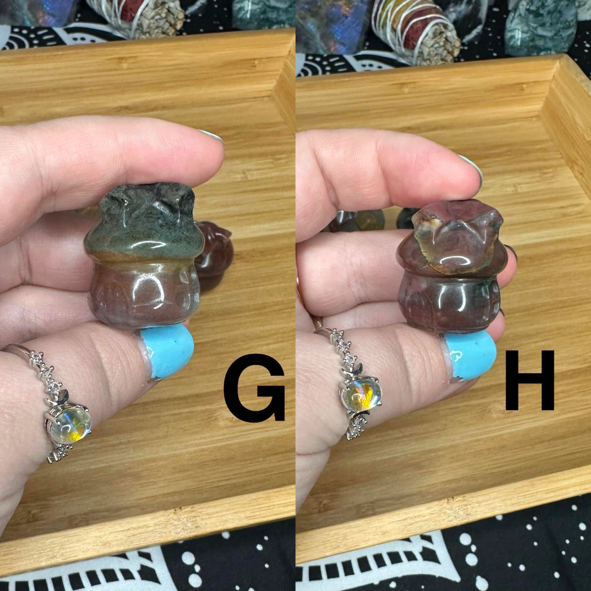Pick your own Mini Ocean Jasper Fairy Mushroom House