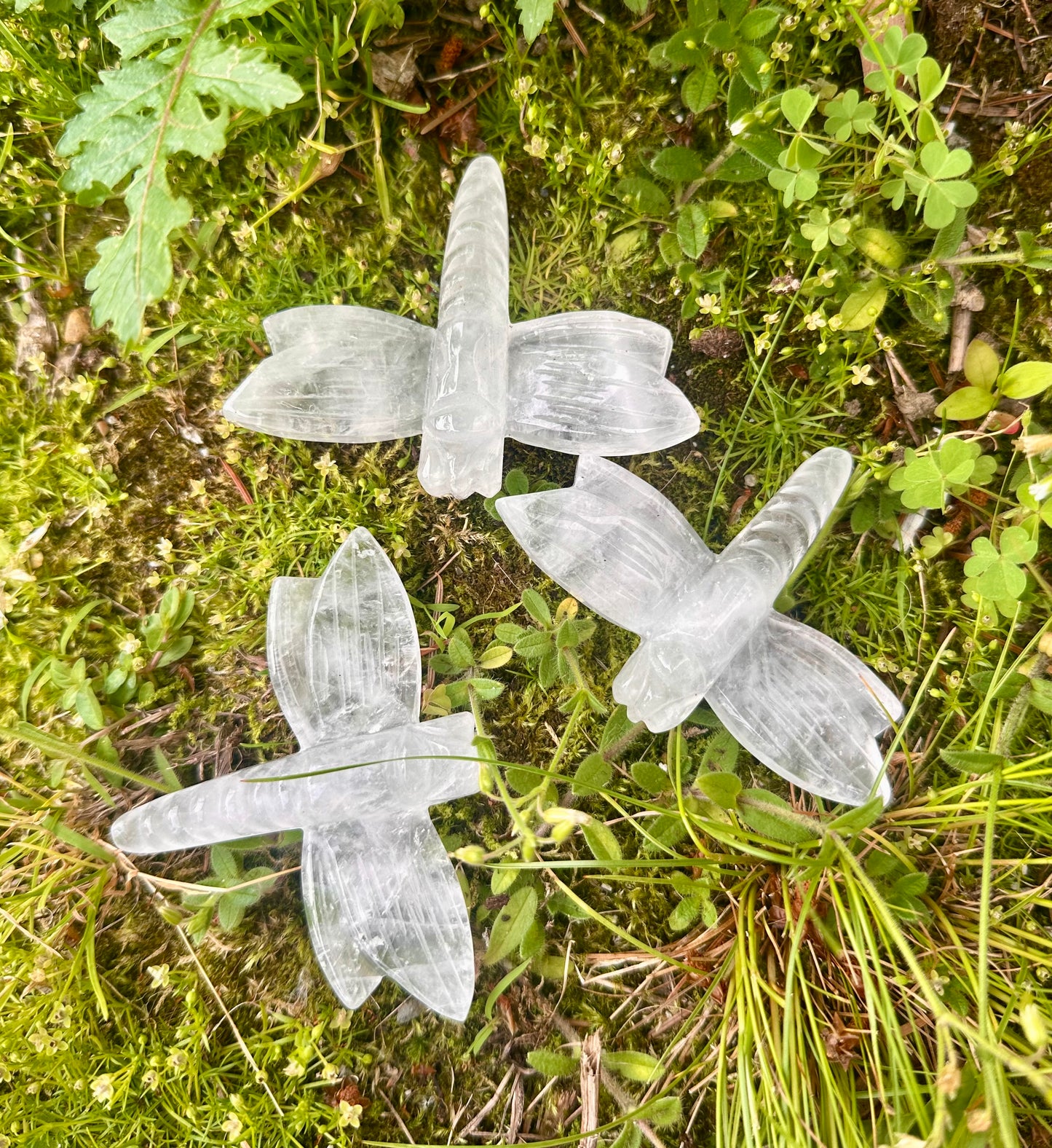 Clear Quartz Dragonfly