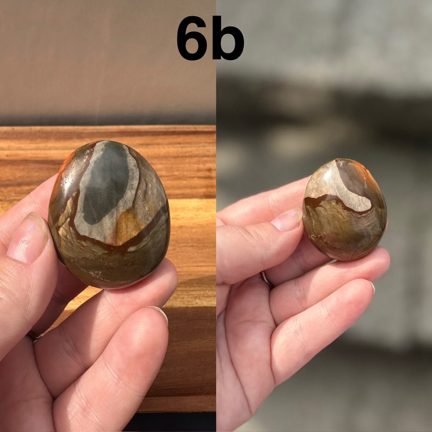 Polychrome Jasper Palmstone