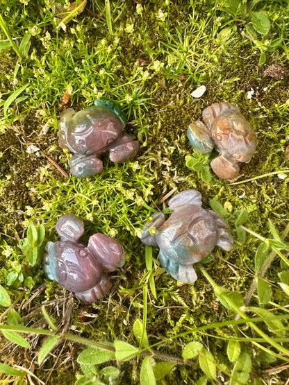 Ocean Jasper Crab