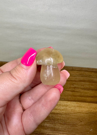Fluorite Mushroom