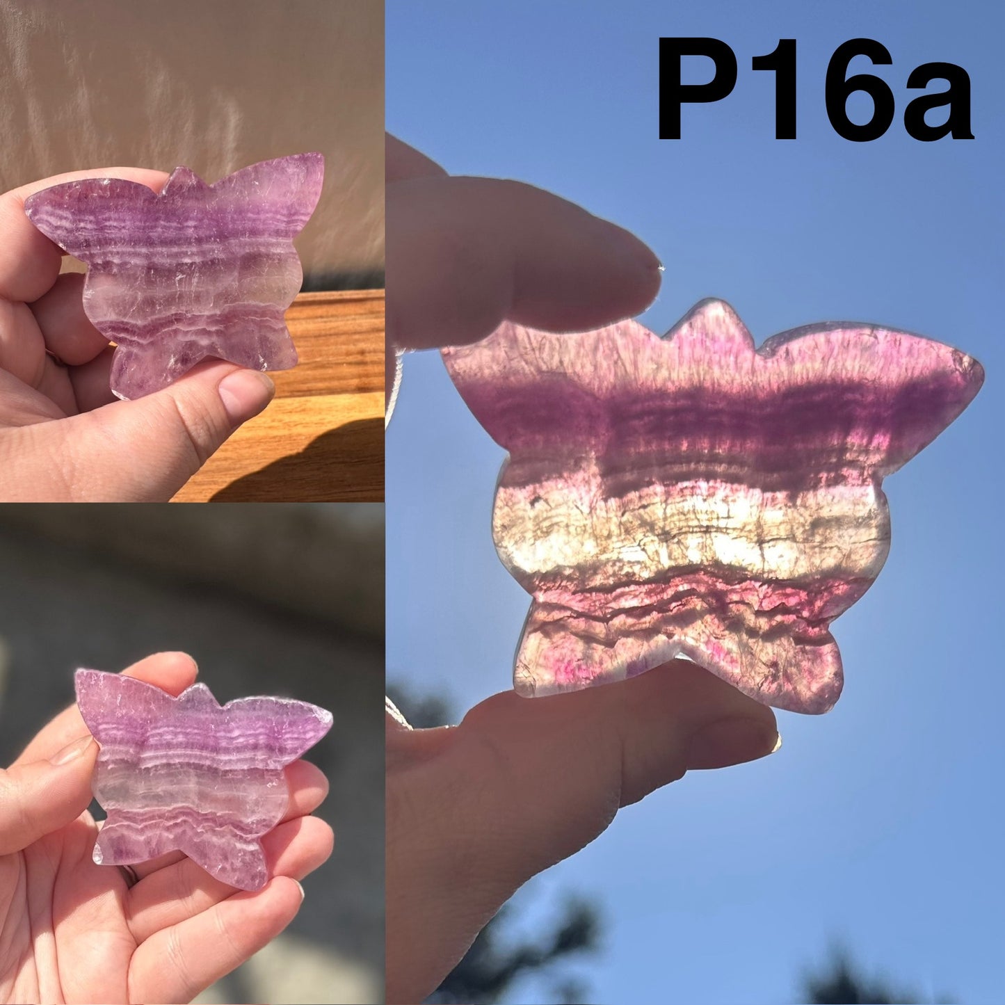 Fluorite Butterfly | Imperfect
