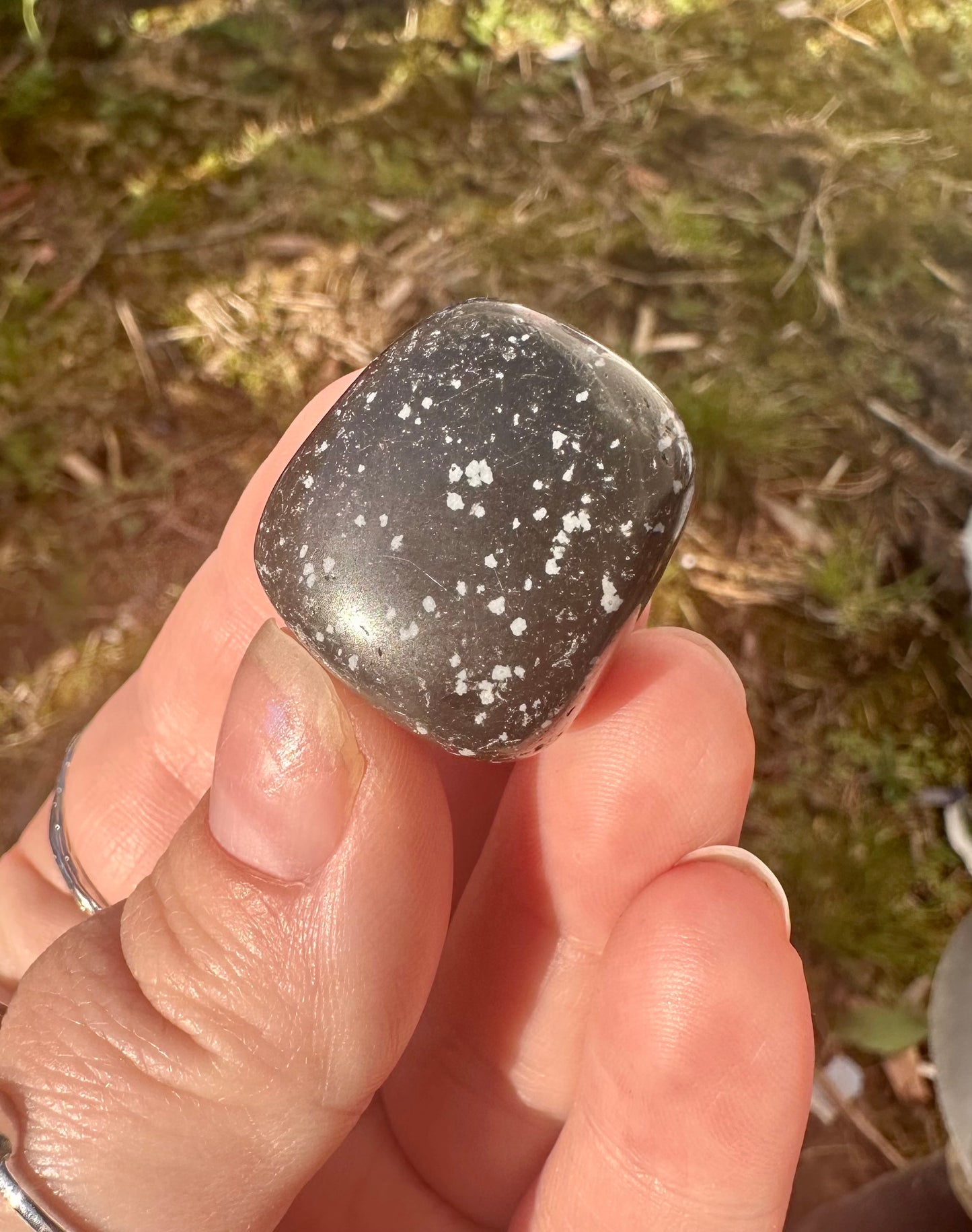 Snowflake Obsidian Tumble