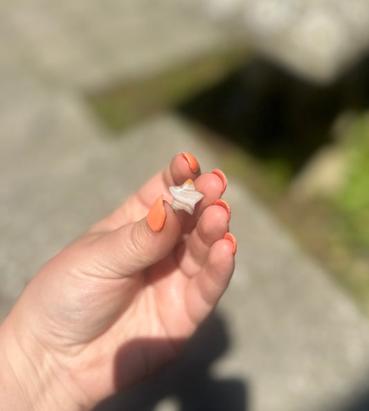 Mini Carnelian Star