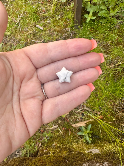 Mini Howlite Star