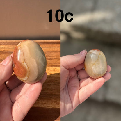 Polychrome Jasper Palmstone