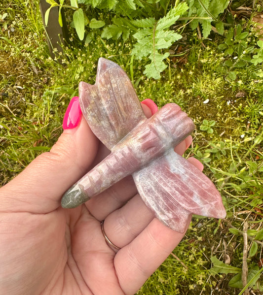 Ocean Jasper Dragonfly