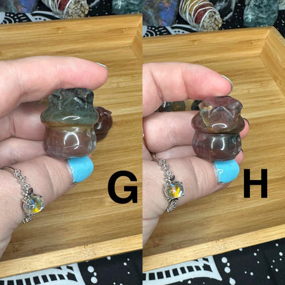 Pick your own Mini Ocean Jasper Fairy Mushroom House